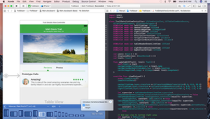 Embed Webpage Into Mac App Xcode